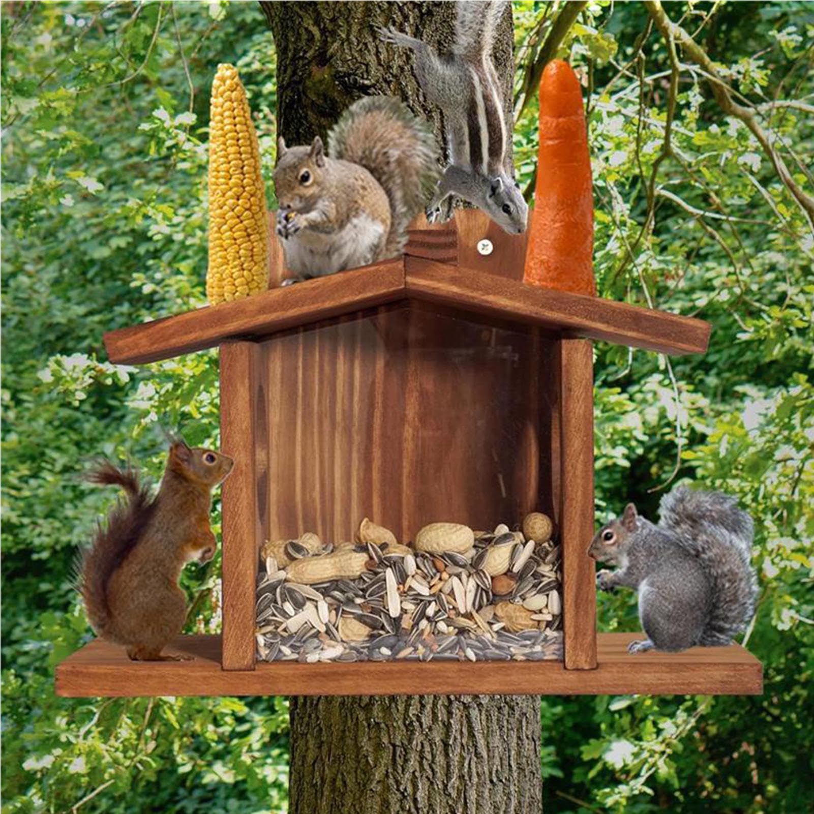 Casetta per Scoiattoli - Casetta Di Alimentazione In Legno | per Scoiattoli | Per Prato Albero Giardino Recinto Muro Esterno Cortile