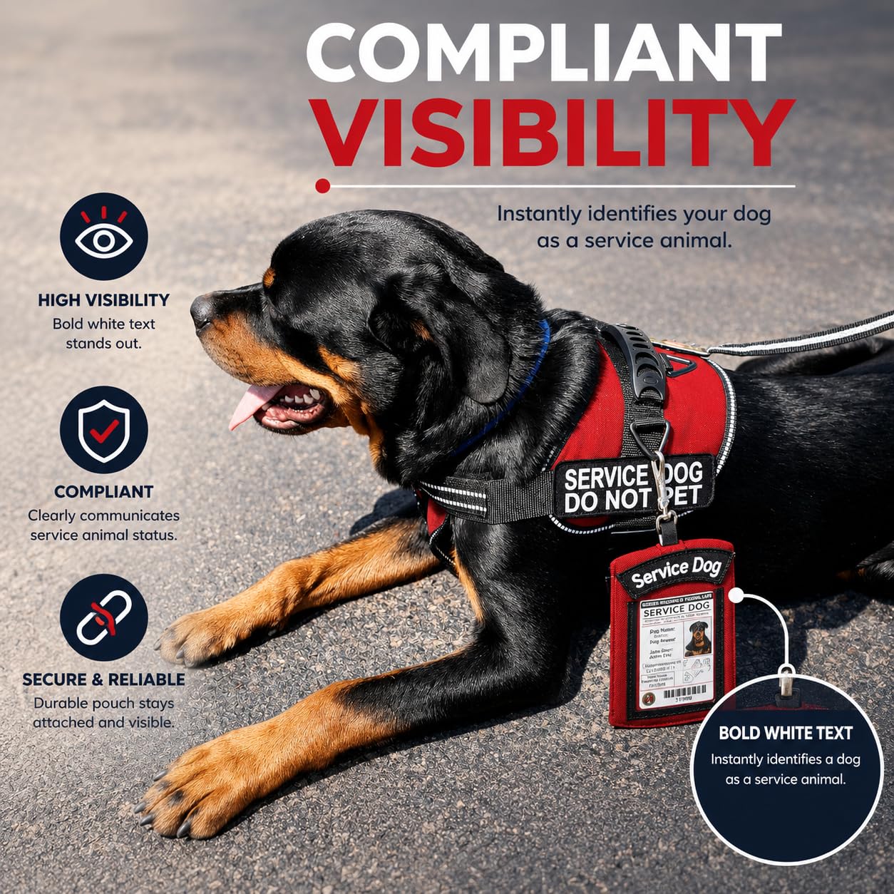 Activedogs Porte-Carte d'identité pour Chien avec Pochette zippée pour Transporter de Nombreux Petits Objets et Afficher Facilement l'identité de Votre Chien, Rouge