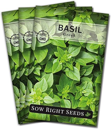 Miniatura 9 de Sow Right Seeds - Semilla de albahaca griega para plantar - Paquete de reliquia sin OMG con instrucciones para plantar y cultivar fácilmente un
