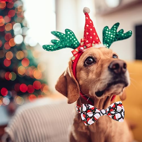 Miniatura 3 de Pajarita de Navidad para perro con collar, Papá Noel de vacaciones de invierno, collar de acebo para niños y niñas, cachorros grandes y medianos