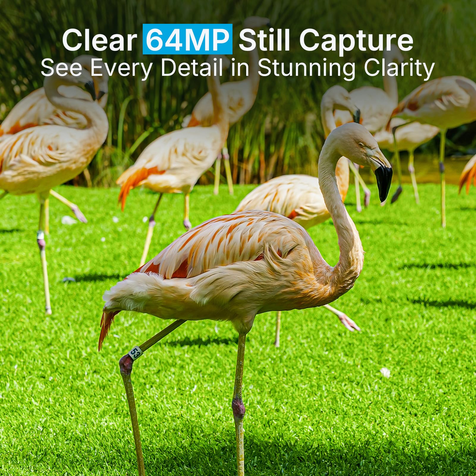 Meidase P70 Trail Camera, 64 MP 1296p, telecamere da gioco con visione notturna IR No-Glow IR, attivata dal movimento, impermeabile per animali selvatici cervi cam, caccia