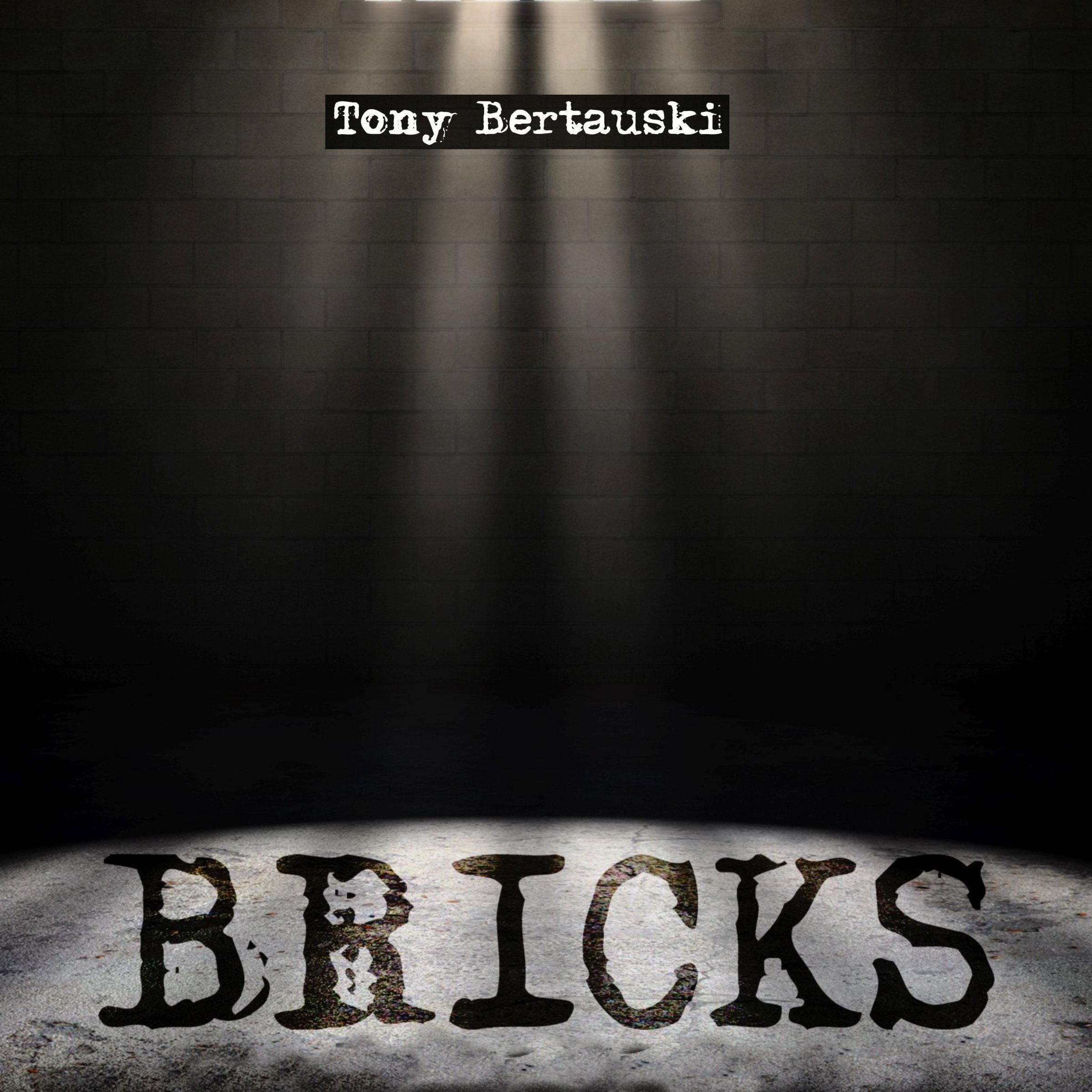 Cover art for Bricks