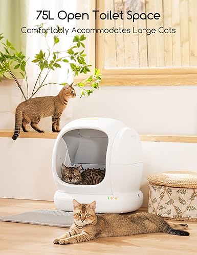 Miniatura 2 de MeoWant Caja de arena autolimpiante para gatos, caja de arena automática extra grande abierta para gatos múltiples gatos, protección de seguridad