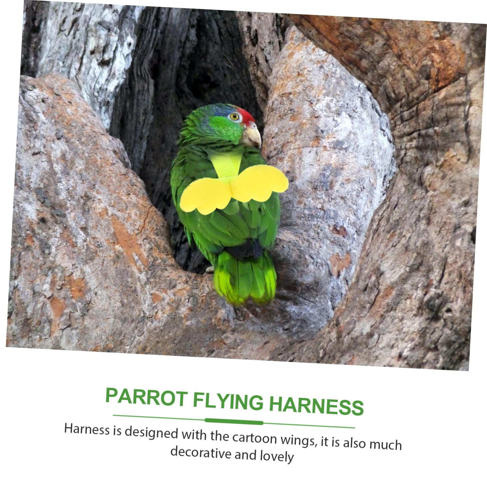 Beavorty 4stücke Pet Vogel- Set Für Papageien Einstellbare Trainingsleine Für Vögel Elastisches Zubehör Für Sichere Ausflüge Und Outdoor-Training Geeignet Für Wellensittiche Und
