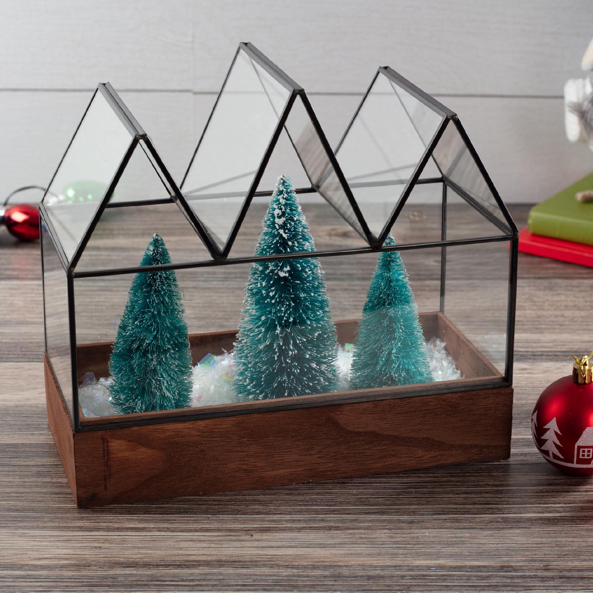 D'Eco Glass Castle Plant Terrarium (10x9x5) - Black Geometric Metal Planter w Wood Base - Grow Your Own Succulents, Plants, Moss, in an Indoor Summer Home Garden - Great Gift for Plant Lovers