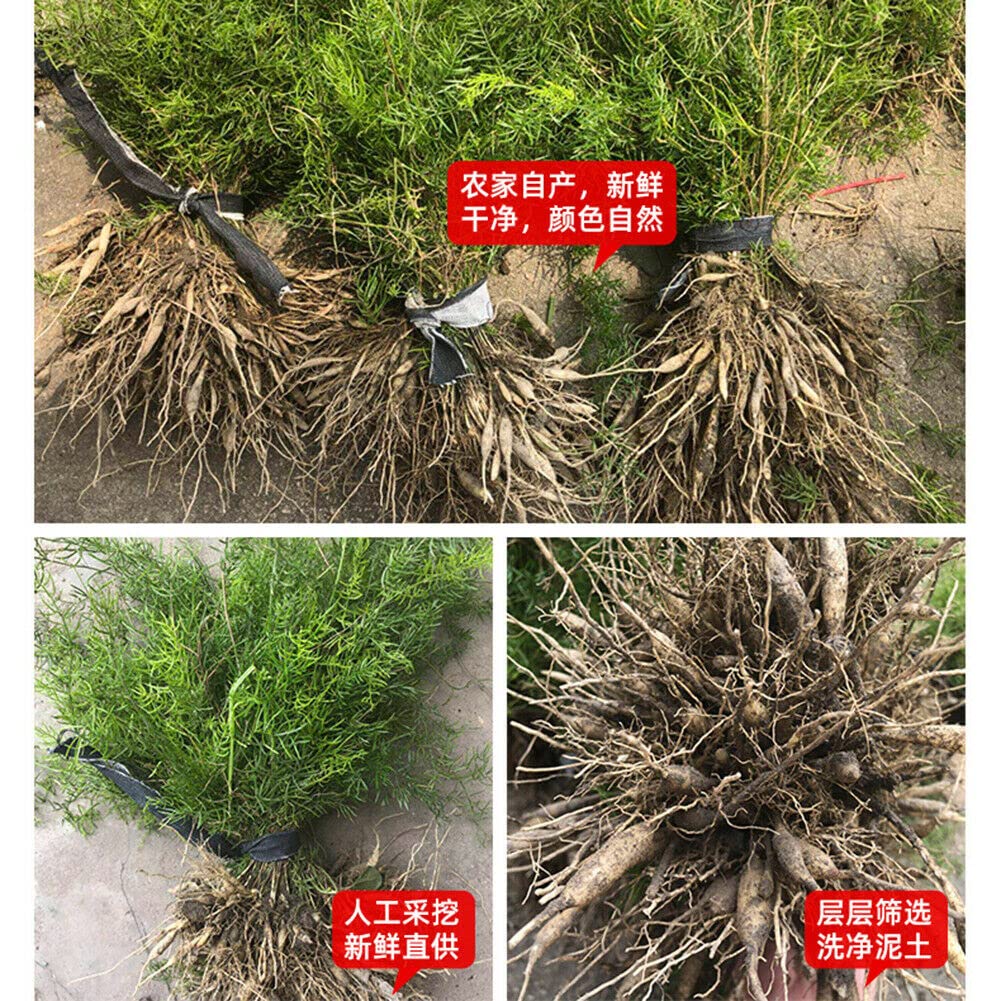 Tianmendong 500 g di tisana naturale con asparagi secchi sani