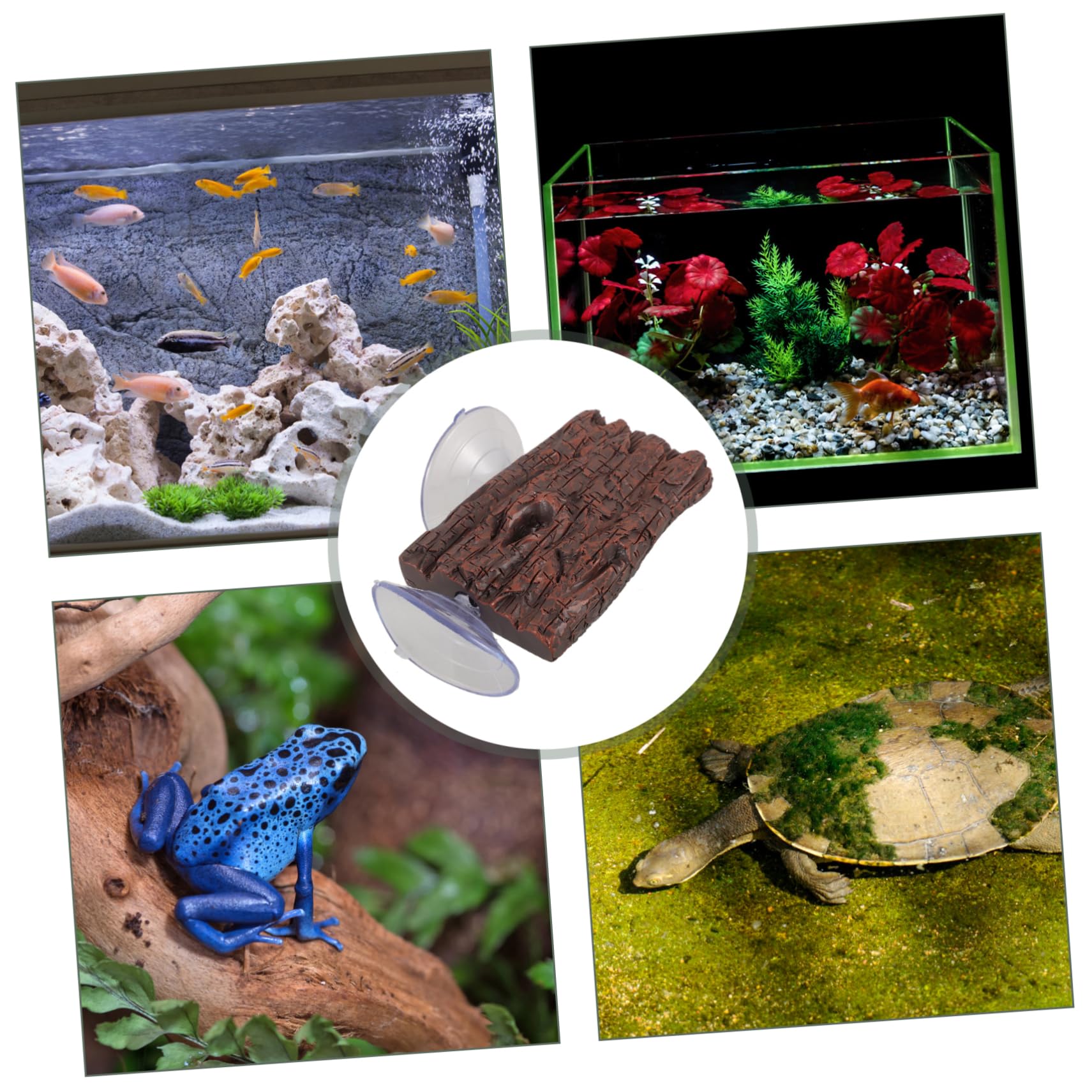 BESPORTBLE 5piezas Plataforma De Descanso para Tortugas y Reptiles con Ventosa y Diseño De Terraza Flotante para Acuarios y Terrarios Resistente y Duradera