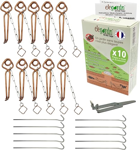 Piège putange pour rat taupier et campagnol
