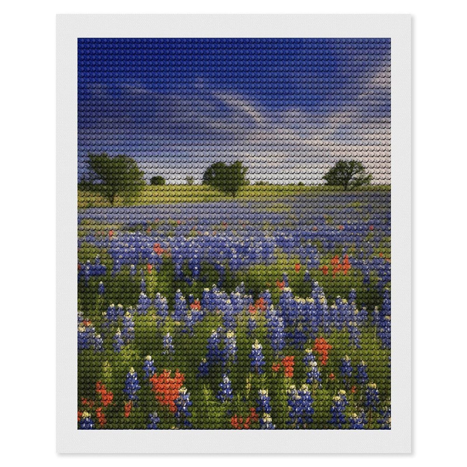 FekiLoot Texas Bluebonnets Scenery Paint by Numbers Kit for Adults Beginner DIY Diamond Dots Paintings Round Full Drill Diamond Art Kits Picture Diamond Art Painting Kits for Home Decor 16"x20"