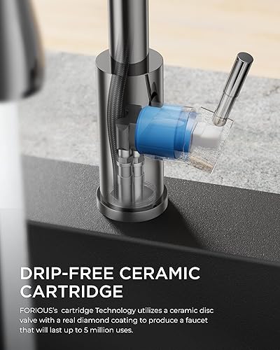 Vista 26 de FORIOUS - Llave de fregadero de acero inoxidable para cocina B07Y4Y88Y6