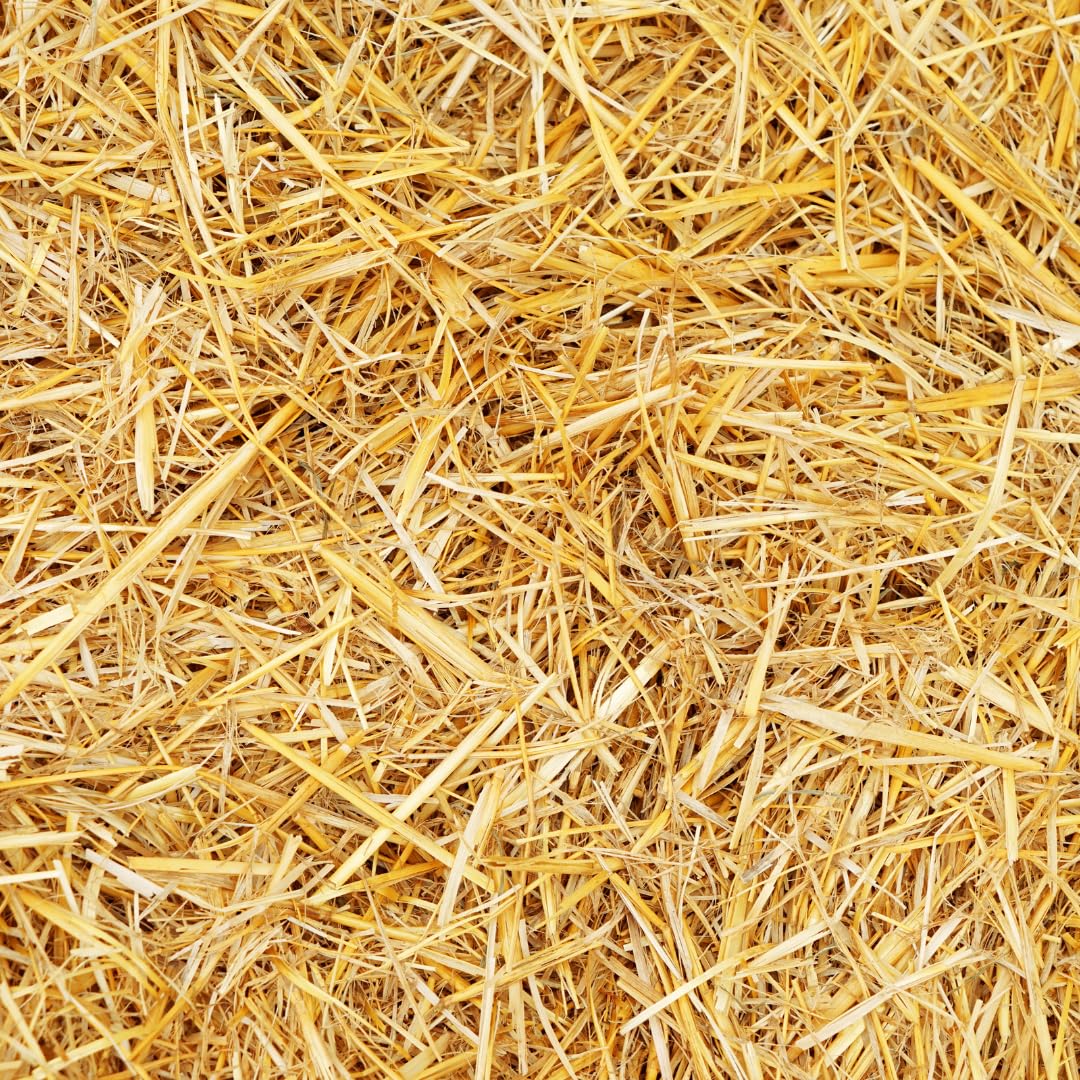 4 Pounds Natural Wheat Straw for Animal Bedding, Garden Mulch, Compost & Fertilizer, and Grass Cover