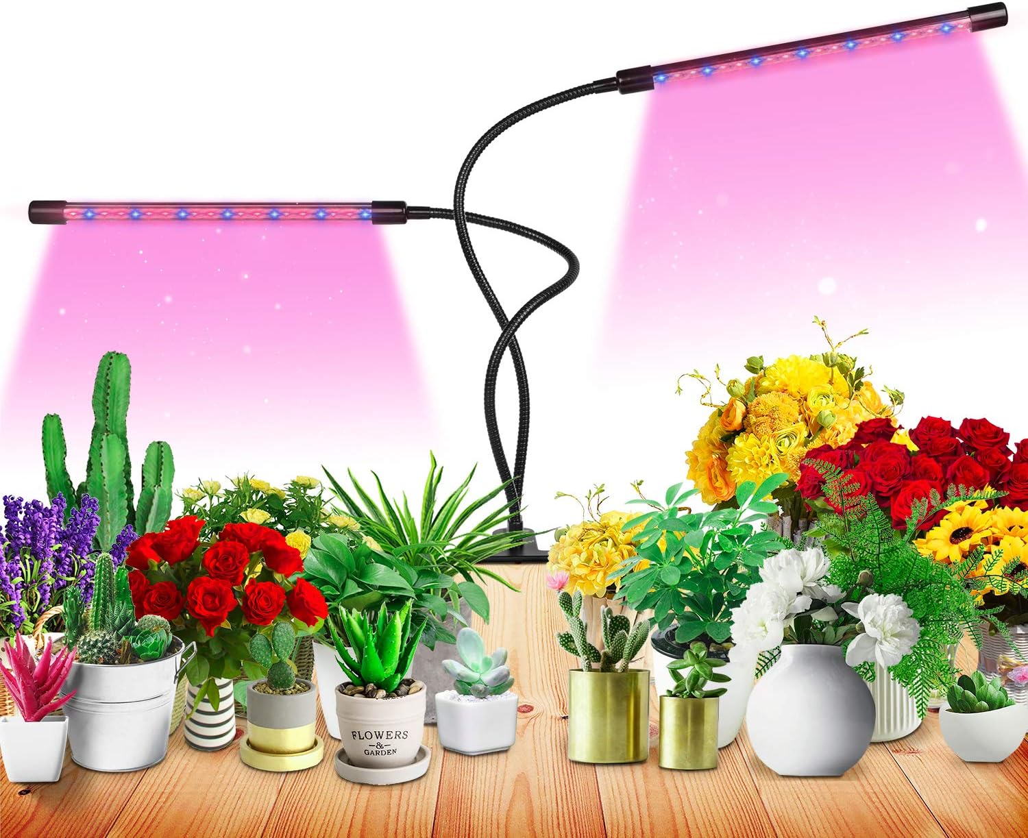 grow light timer amazon