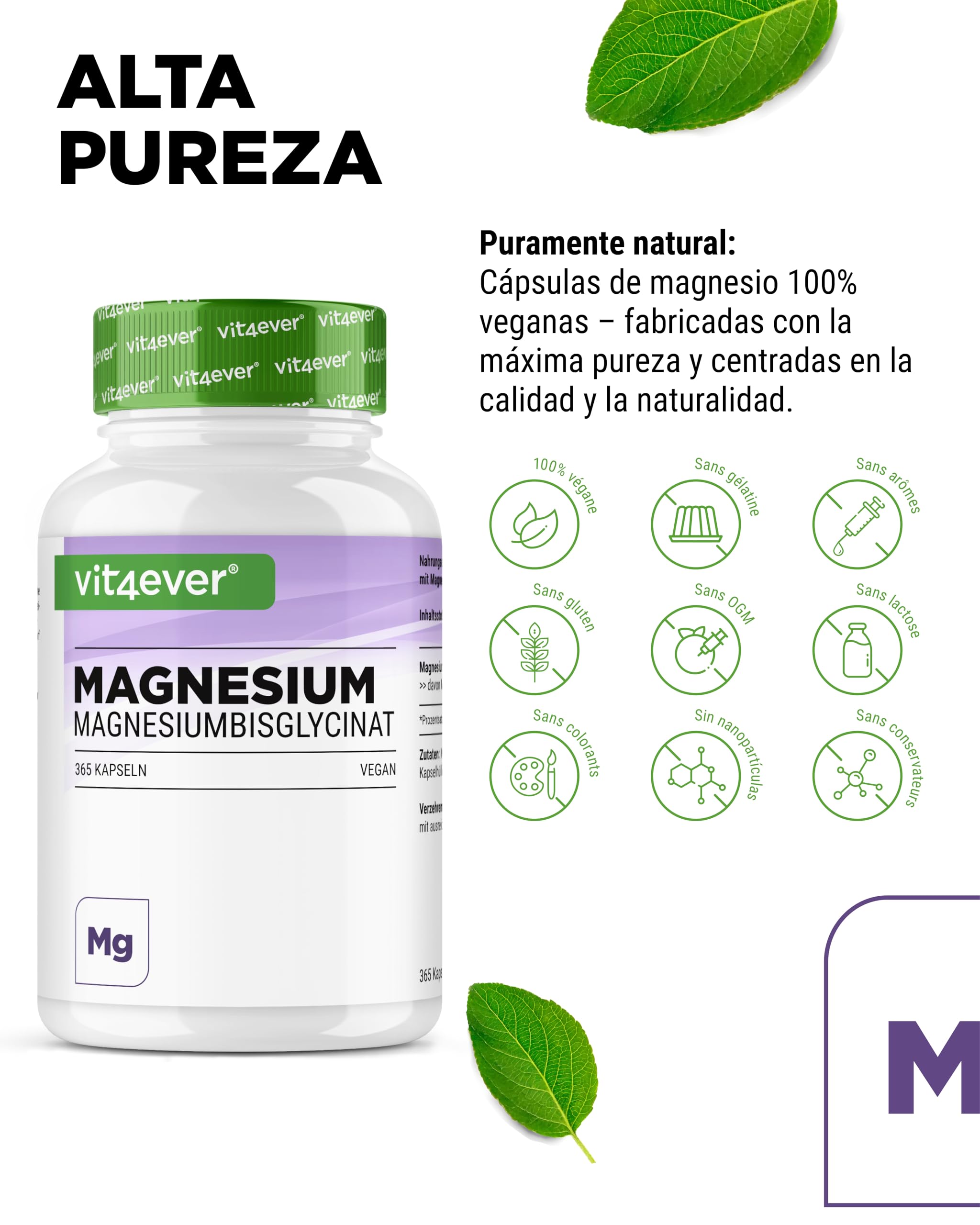 vit4ever Magnesio Bisglicinato - 365 Cápsulas - 300 mg de Magnesio elemental por Dosis diaria - Premium: Magnesium Quelado - Vegano