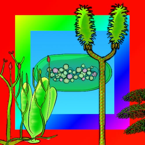Plant Evolution