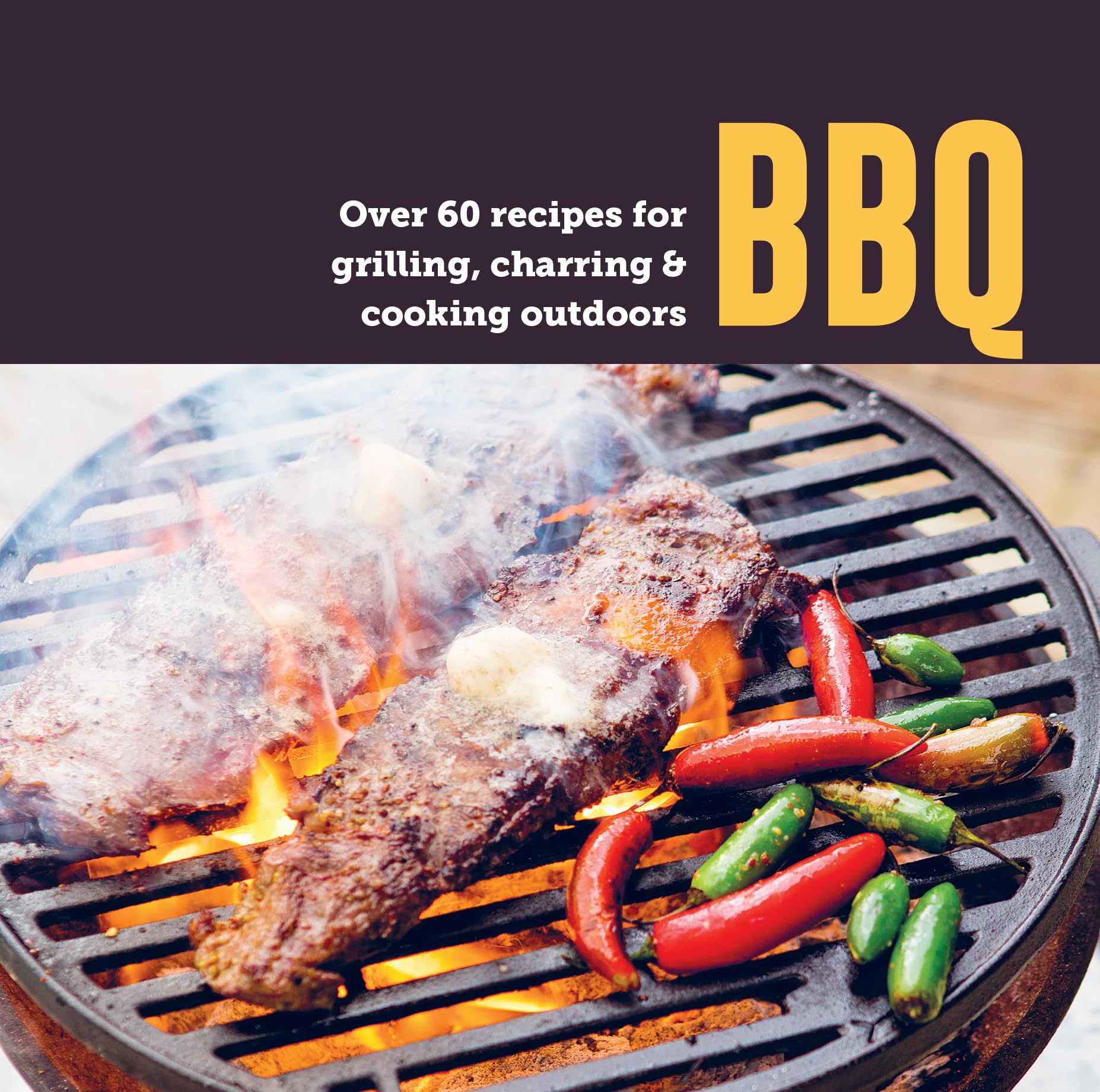 BBQ: Over 60 recipes for grilling, charring & cooking outdoors