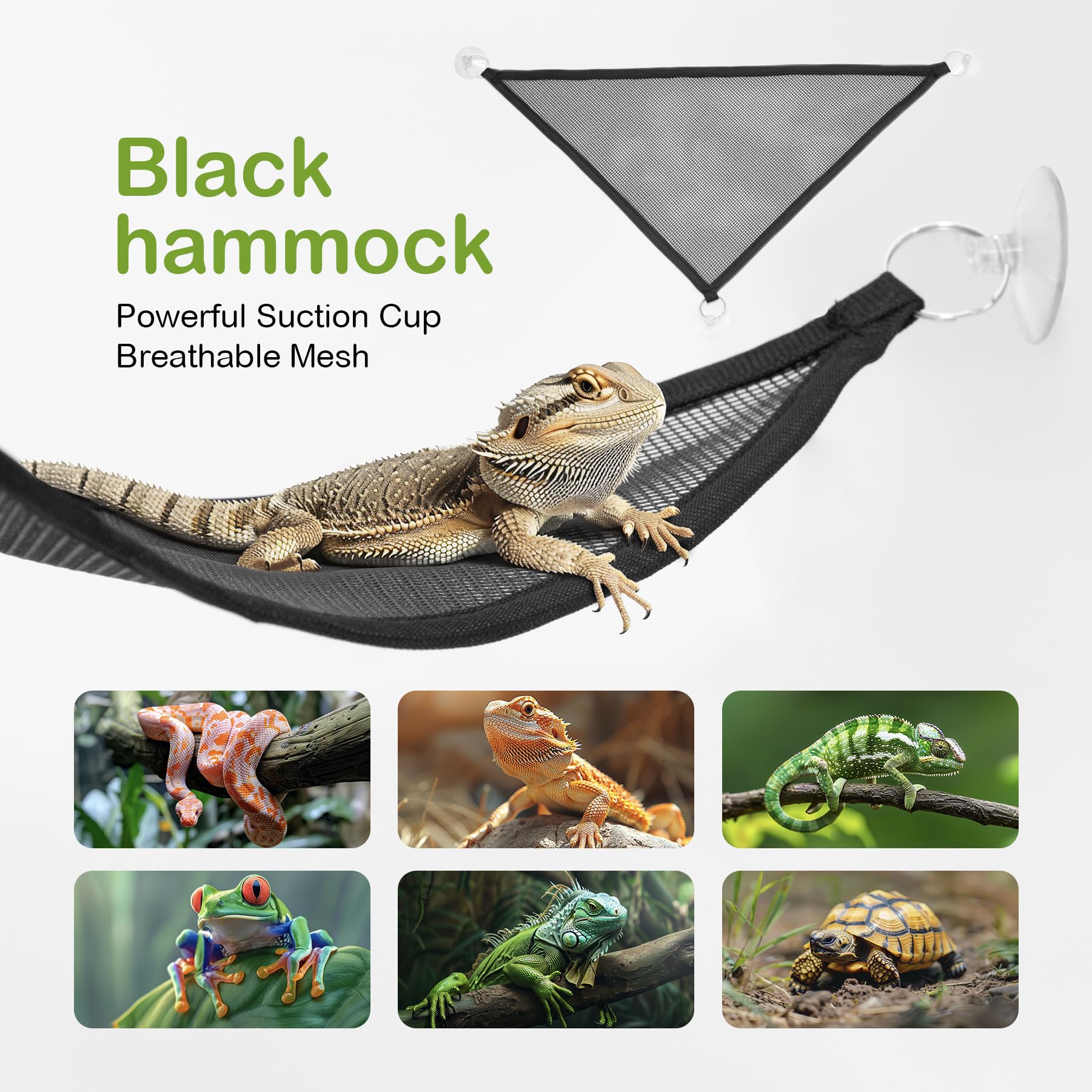 Reptilien-PC-Terrarium, 23,9 x 48,8 x 19,8 cm, Amphibien-Tank, Spinnenkäfig, geeignet für die Zucht von Leopard, Gecko, Frosch, Einsiedlerkrebse, Eidechsen, Isopoden, Vogelspinnen