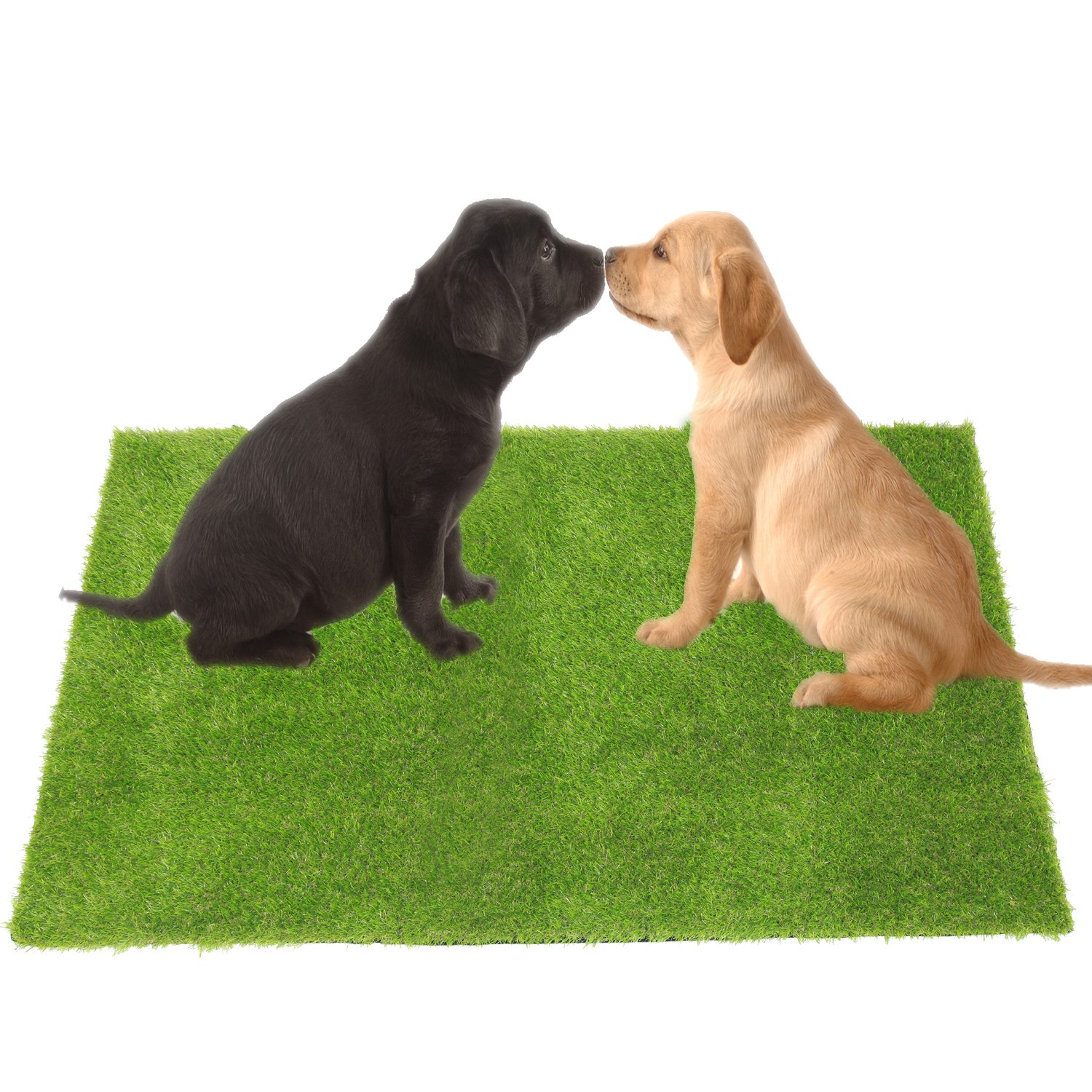 ECO MATRIX Artificial Grass Pet Turf Dog Training Mat Large Fake Grass Doormat Soft Synthetic Grass Rug Green Faux Lawn Carpet for Indoor Outdoor Decoration (39inch x 59inch)