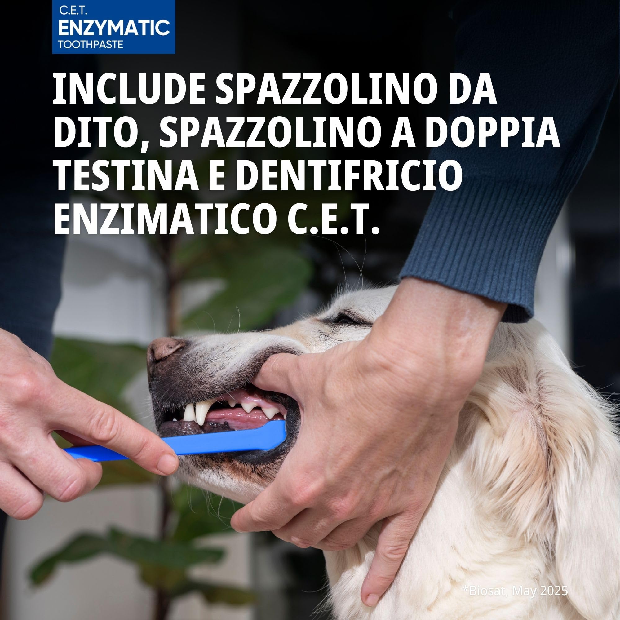 Dentifricio kit per cani
