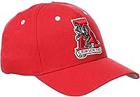 Vista 2 de ZHATS NCAA Vault - Sombrero elástico ajustado para hombre