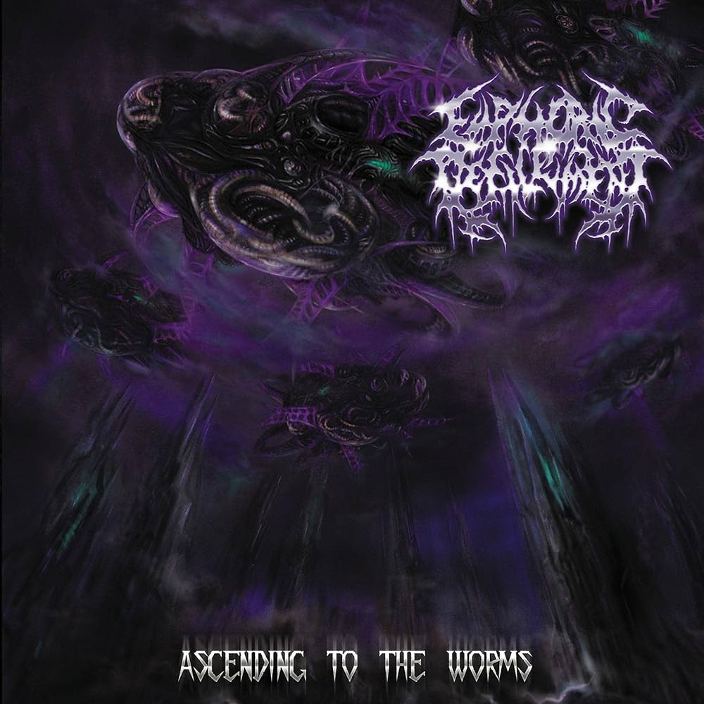 たかはし様用】WORMED / Planisphaerium たかはし様用】WORMED