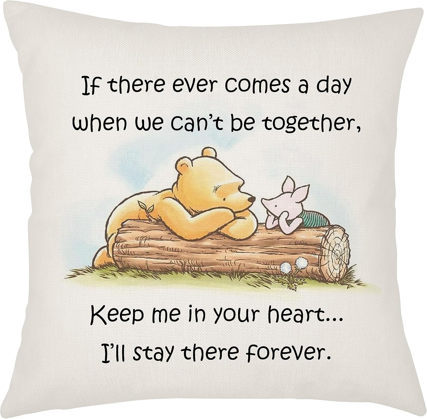 Cute The Pooh and Piglet Friendship Quote Cushion Cover