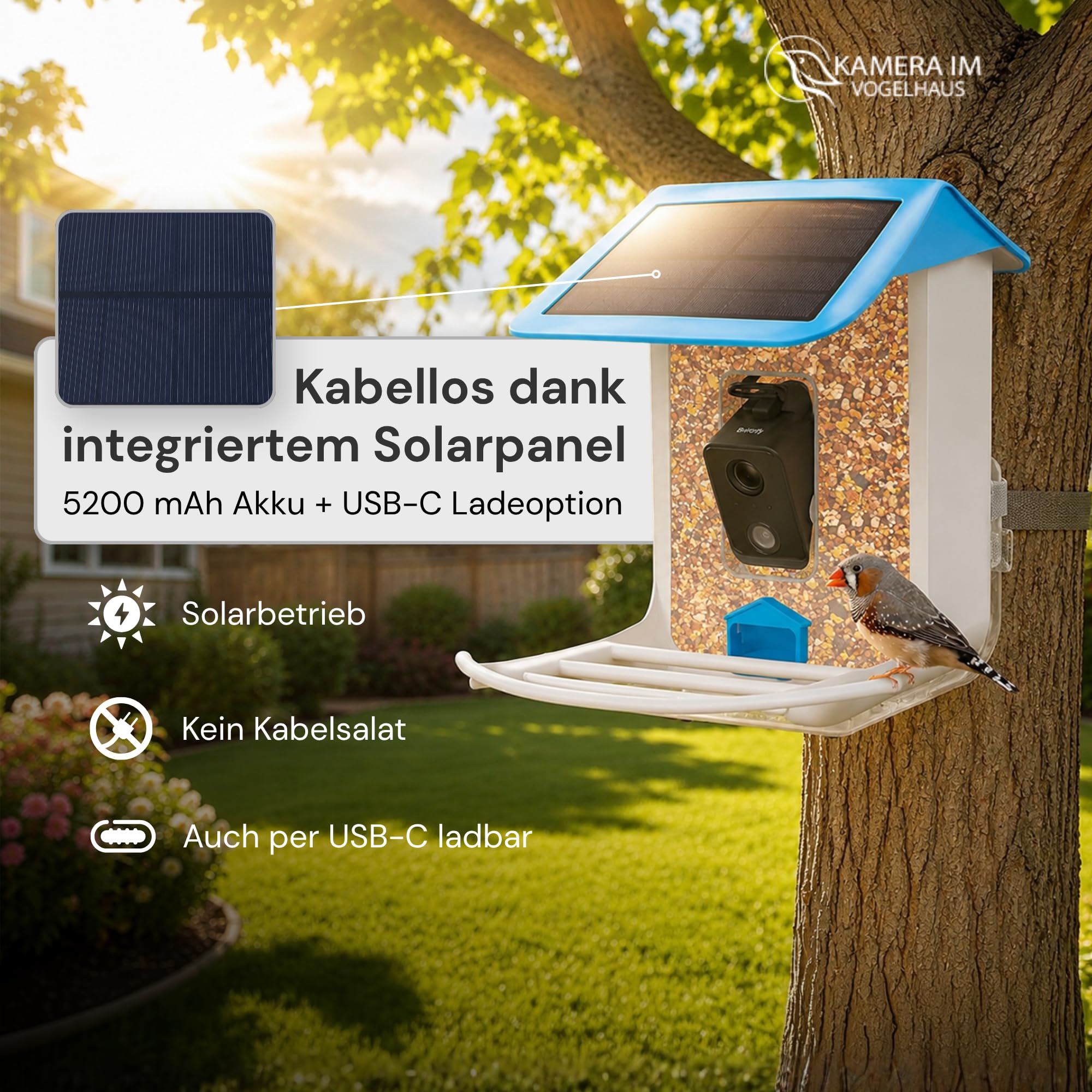 Smarter Vogelfutterspender mit WLAN-Kamera und Solar | Vogelhaus mit Kamera, Vogelfutterstation, Futterstationen für Wildvögel