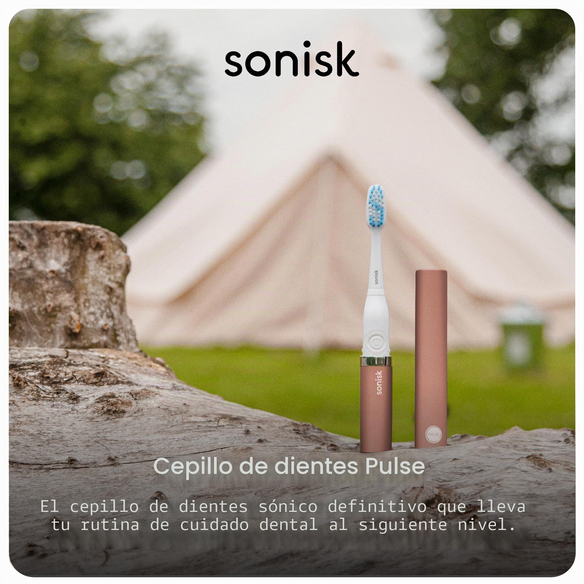 Sonisk Pulse | Cepillo de dientes eléctrico con pilas | Tecnología Sonic | 1 batería, 2 cabezales de cepillo, 31 000 movimientos por minuto, antimicrobiano, tamaño portátil, gold