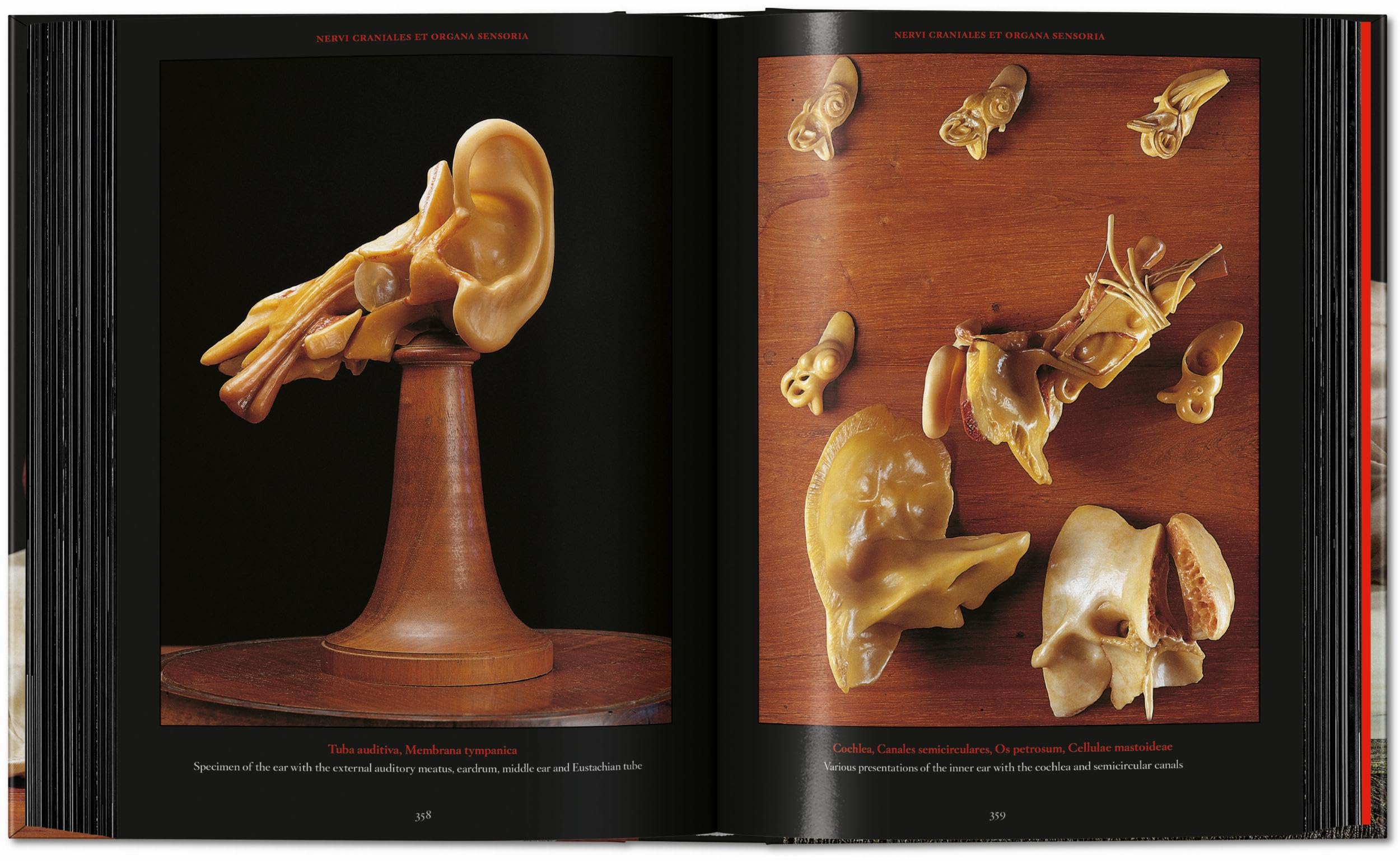 Anatomical Waxes. 45th Ed. (45th Edition)