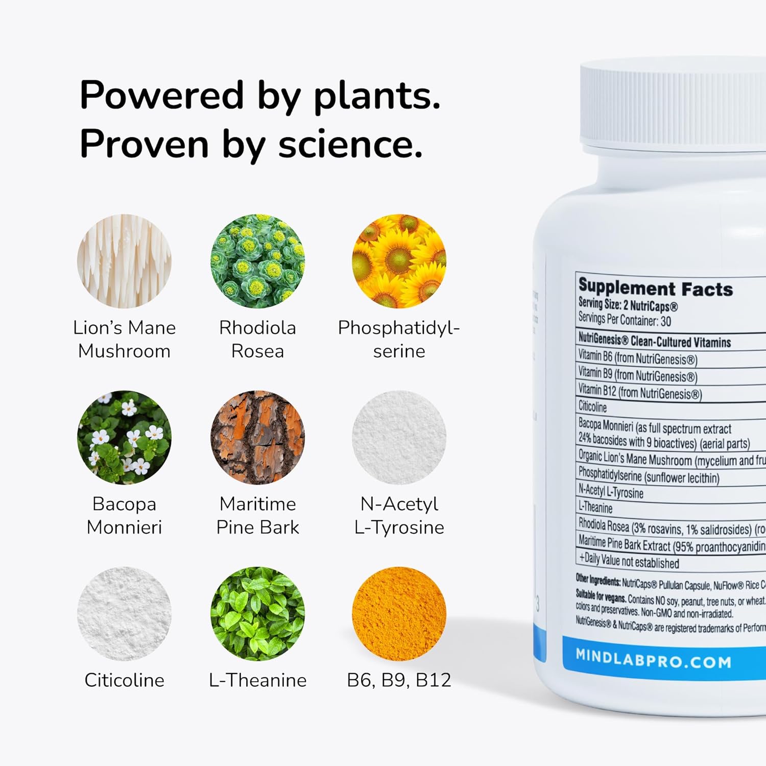 Mind Lab Pro® MLP® v4 Universal Nootropic™ Brain Booster Supplement for Focus, Memory, Clarity, Energy - 60-Count - Plant-Based, Naturally Sourced Memory Vitamins for Better Brain Health, Made in USA