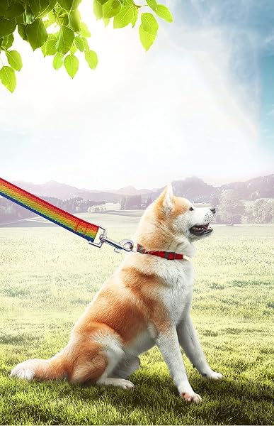 PETGOGO 15ft 20ft 30ft 40ft 50ft Long Dog/Puppy Lead Obedience Recall Training Dog Leashes for Small Medium Dogs Camping, Training, Play, or Backyard (20 FT, Rainbow) - 5