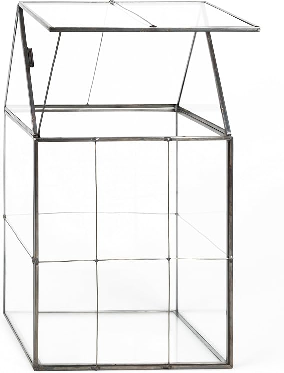 D'Eco Large Glass Plant Terrarium, Centerpiece & Wedding Letterbox Display | Tabletop Geometric Planter Terrarium, Fill with Succulents, Moss, Air Plants, Ferns, Home & Office Decor, Dims:6x5x11
