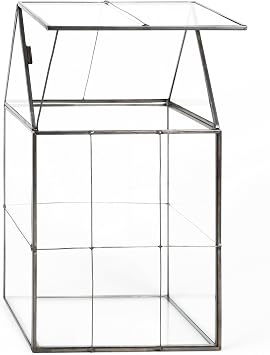 D'Eco Large Glass Plant Terrarium, Centerpiece & Wedding Letterbox Display | Tabletop Geometric Planter Terrarium, Fill with Succulents, Moss, Air Plants, Ferns, Home & Office Decor, Dims:6x5x11