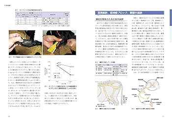 主要症状を基礎にした牛の臨床 主要症状を基礎にした牛の臨床 3 / 小岩政照/田島誉士