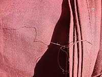 Review Image by chillywilly chillywilly