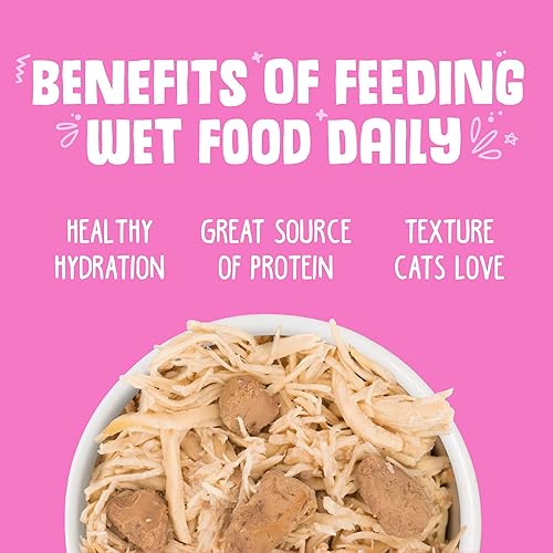 Miniatura 6 de Weruva Nine Liver - Alimento para gatos con pechuga de pollo e hígado de pollo en salsa, lata de 3 onzas (paquete de 24)