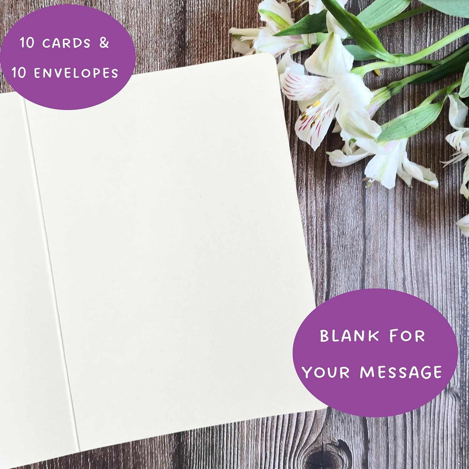 10 Pack of Alligator Greeting Cards, 5X7 Inches, Blank Inside, Kraft Envelopes, Made in USA, for think you notes, birthday cards, and thinking of you stationery set - 1094
