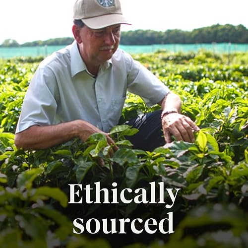 Vista 158 de Starbucks Pike Place Roast - Café molido con tostado medio, 100 % Arábica, 1 bolsa (28 onzas)