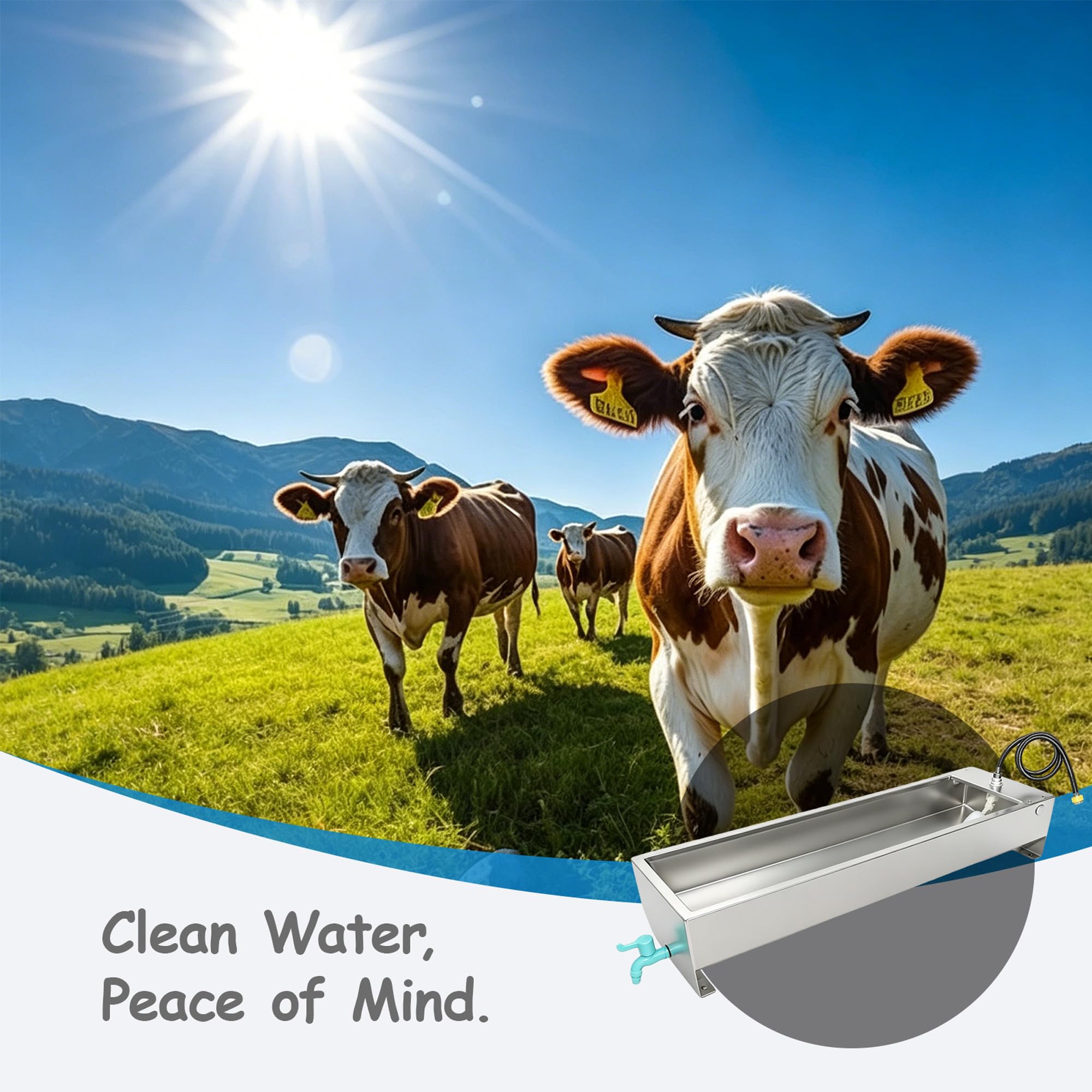 Dispensador automático de cuenco de agua grande para perros, bebedero para ganado, acero inoxidable de 12 galones con válvula flotante para ganado, pollo, cabra, caballo, cerdos, aves de corral