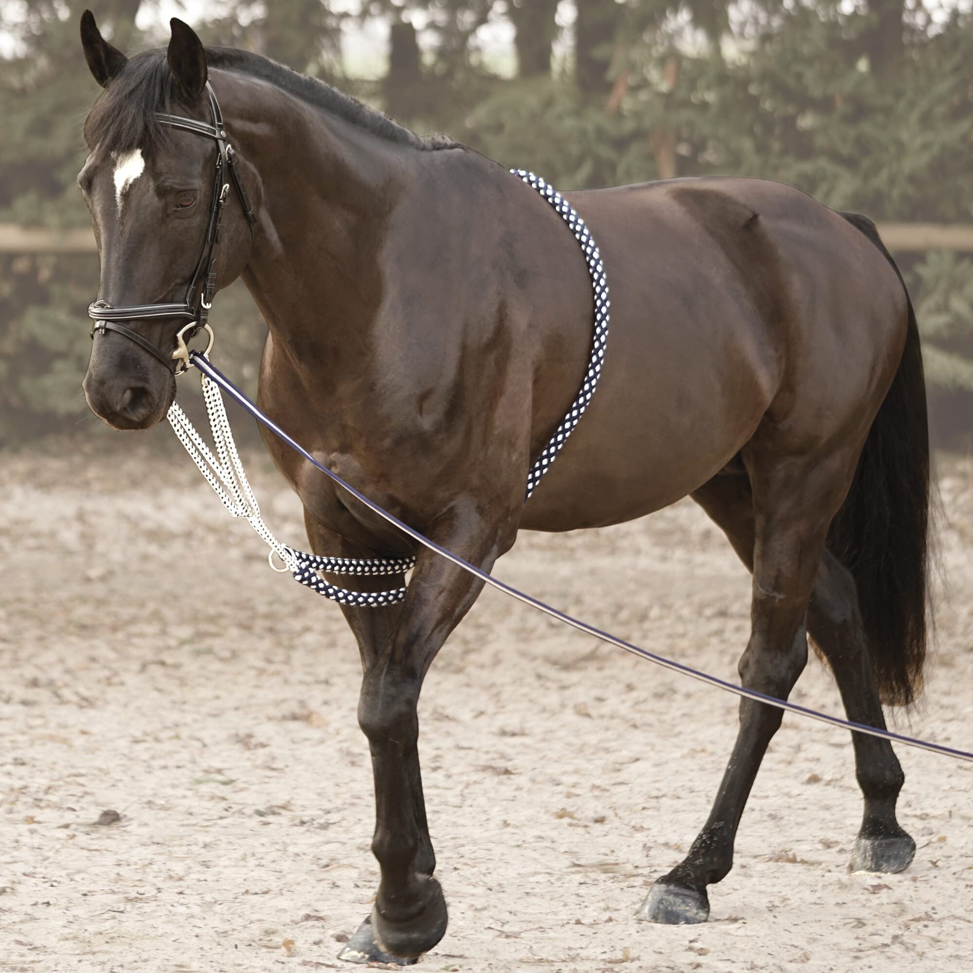 Canter Rienda del Caballo Soft Rope