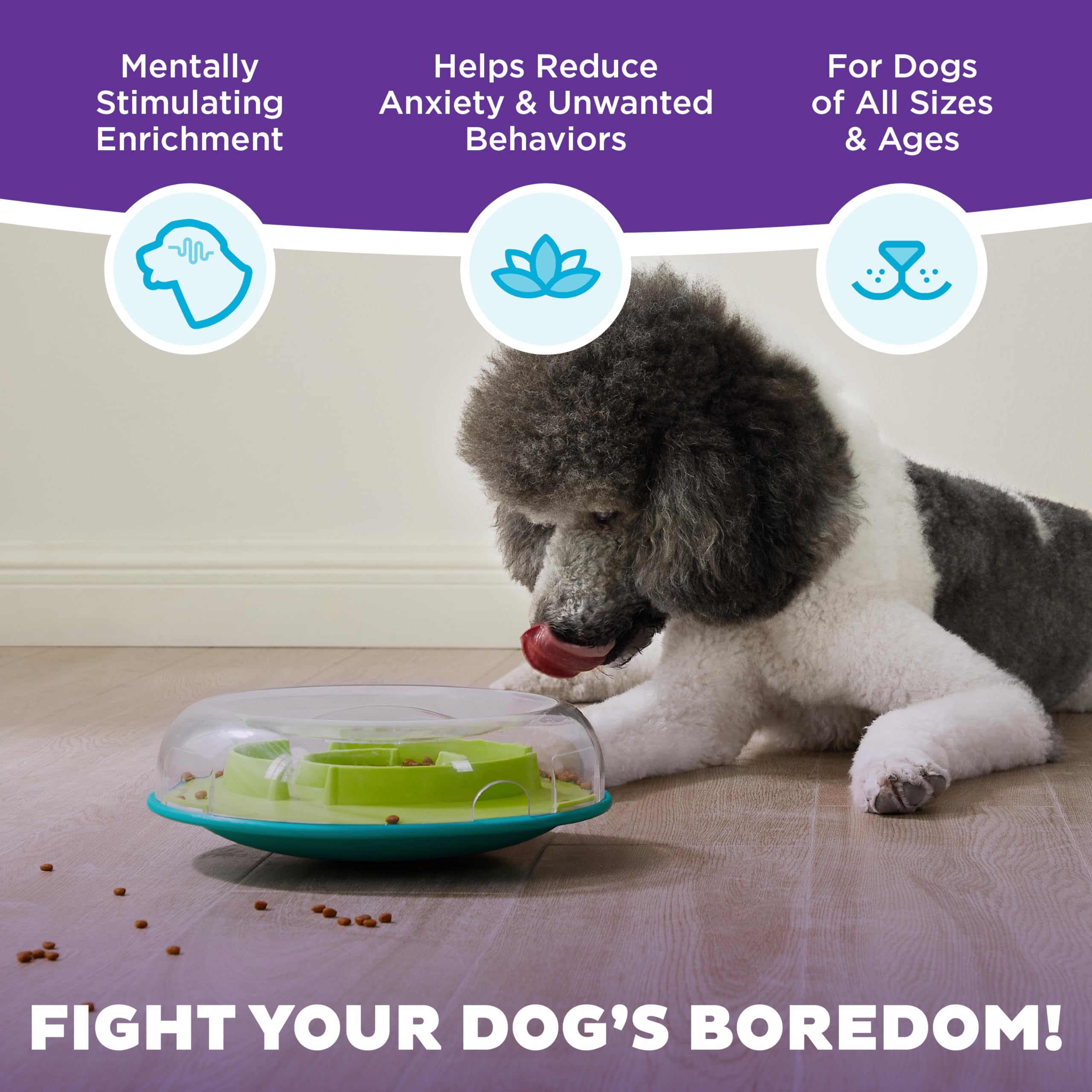 Outward Hound Nina Ottosson Dog Enrichment Puzzle Toy, Interactive Treat Dispensing Game with Casino & Twister Puzzle for Mental Stimulation & Training (Interactive Treat Puzzle Toy) 1