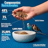 Ver la foto 5