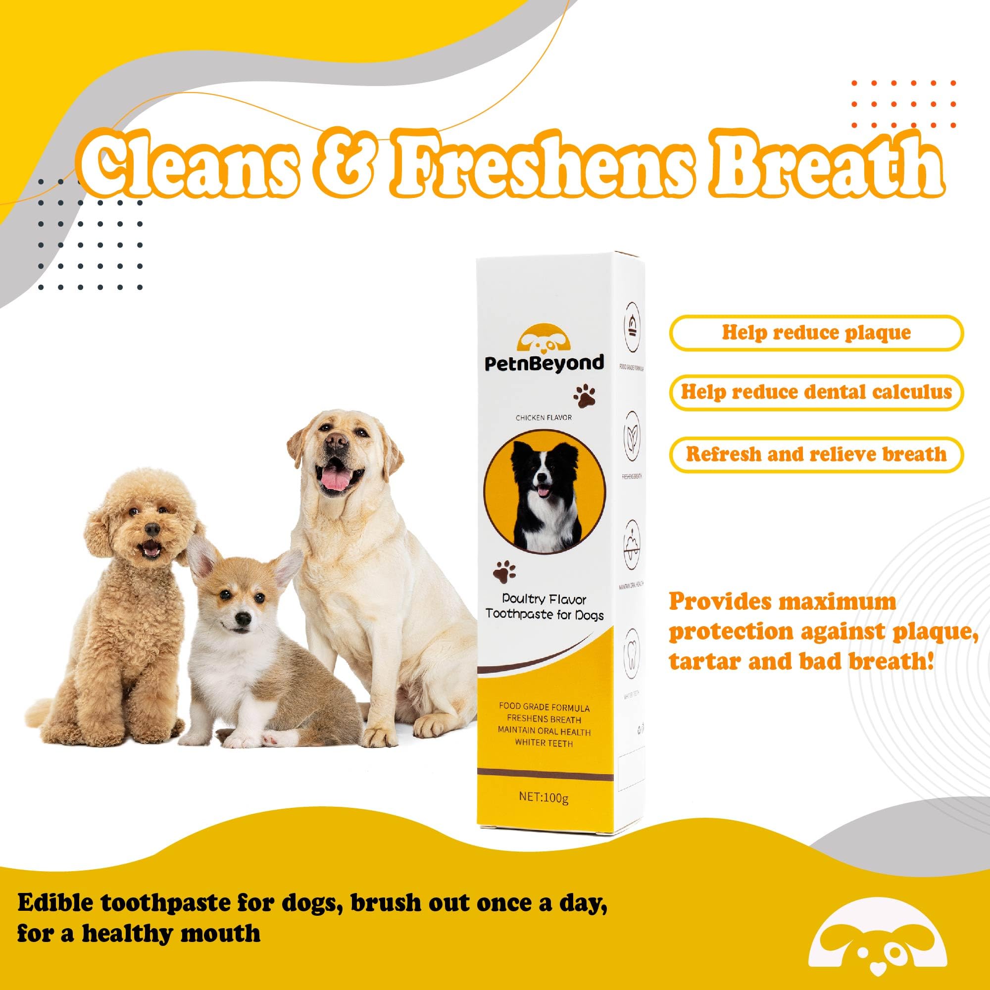 PetnBeyond Dog Toothpaste - Poultry Flavor Teeth Brushing Cleaner, Pet Breath Freshener, Oral Care, Professional Pet Toothpaste for Dogs and Cats. Controls Plaque, Tartar, Bad Breath, Reduces Plaque - image 2