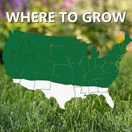 Miniatura 4 de Jonathan Green (11621) Mezcla de pasto - Semilla de césped de estación fría (25 libras)