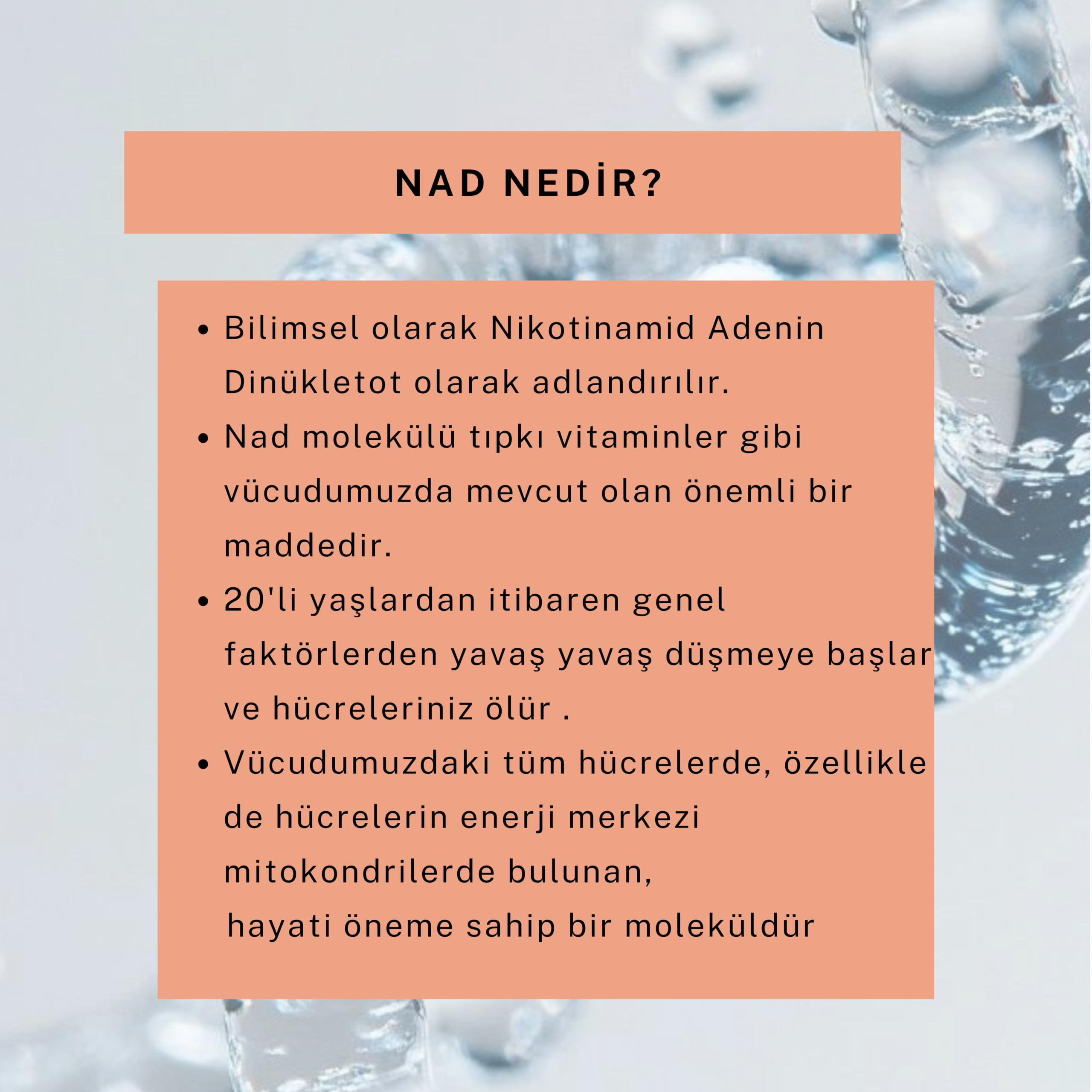 DermoNad Leke Karşıtı Güneş Kremi SPF 50+ 50 ml (NAD+Arbutin,Zinc Hyalüronik Asit)