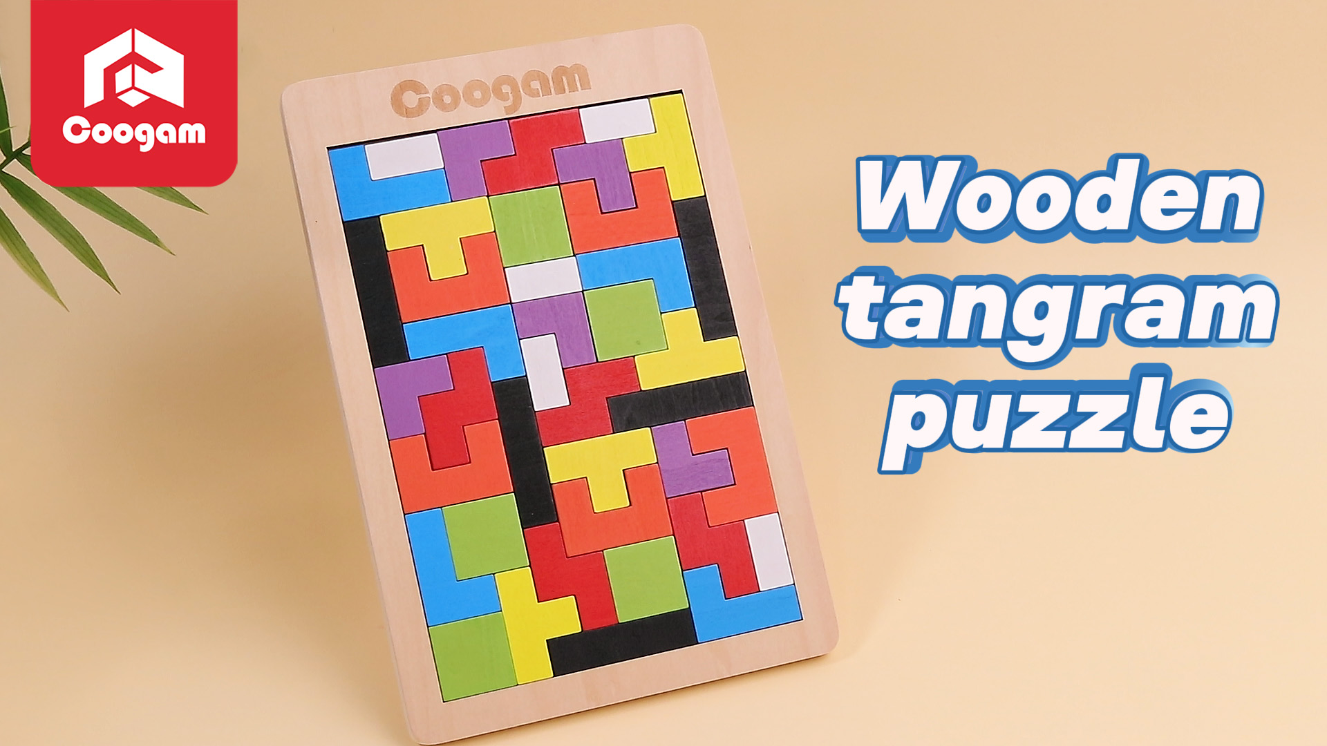 Amazon.com: Coogam Wooden Blocks Puzzle Brain Teasers Toy Tangram