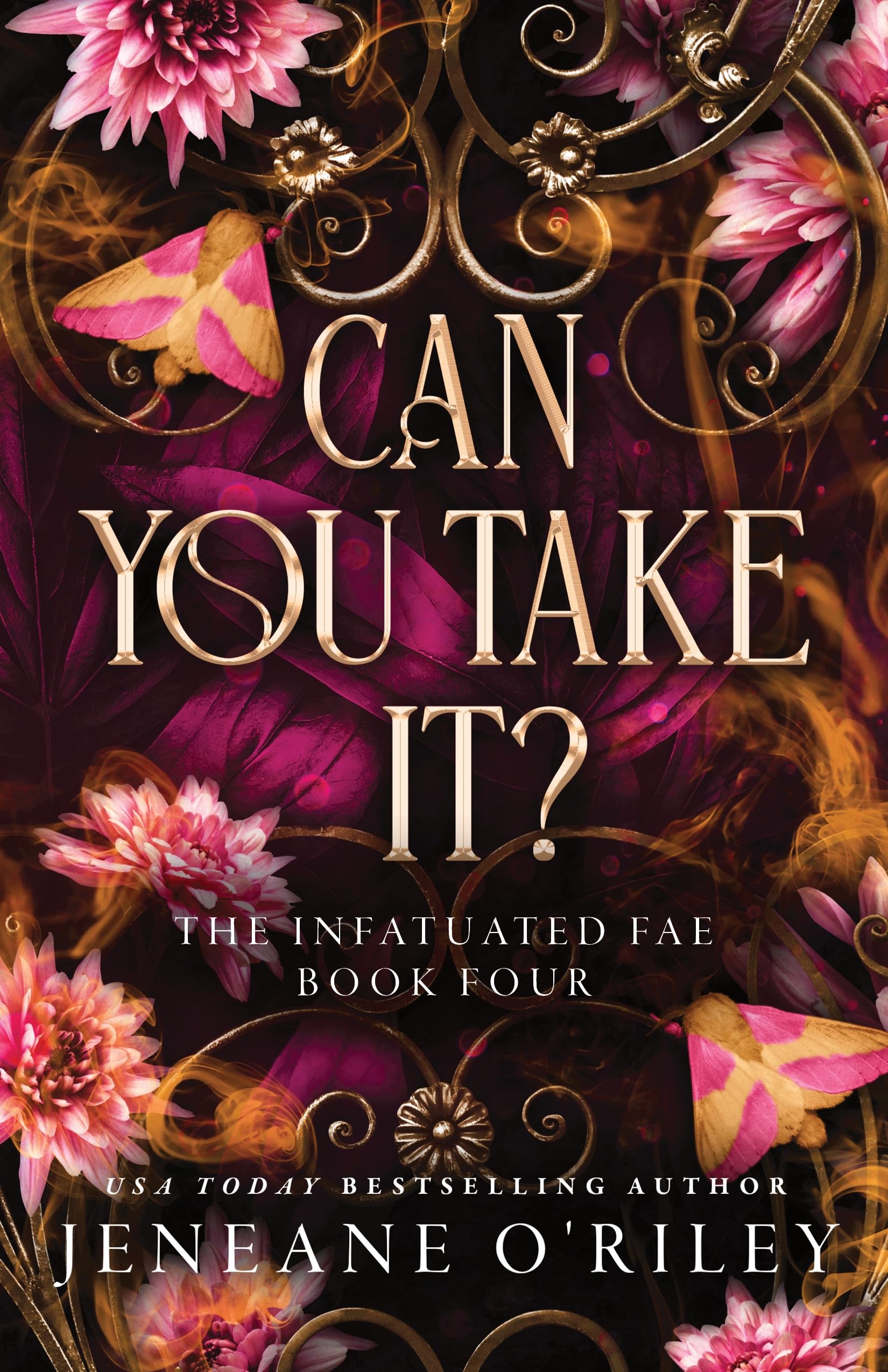 Can You Take It? by Jeneane O'Riley (Paperback Book)