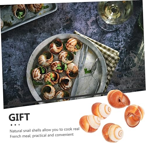Miniatura 9 de 2 unidades de caracol de calidad de restaurante Escargot caracol decorativo francés conchas 5 unids*2