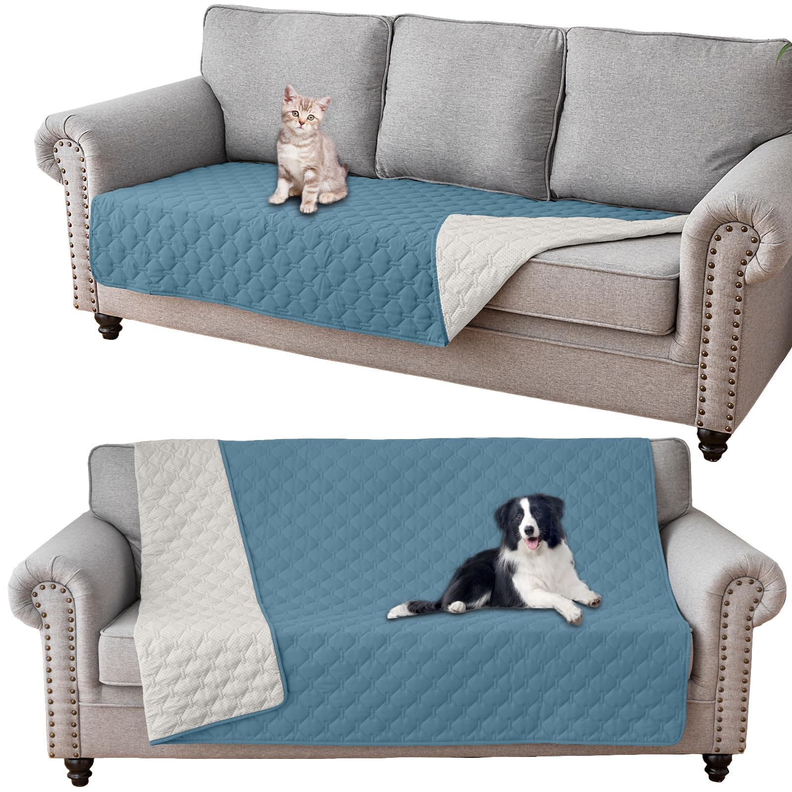 Coperta Impermeabile per Cani, Copridivano antigraffio gatto, Copridivano con Penisola per Animali con Fondo in Gomma Antiscivolo, Copriletto (Verde acqua,102x127cm)