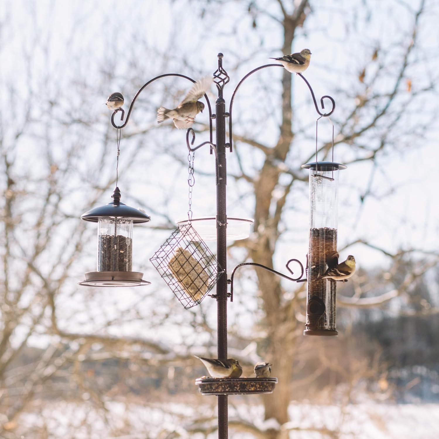 Backyard Expressions Heavy Duty Bird Feeding Station Kit w/Squirrel Baffle - 90" Bird Feeder Pole with 5 Prong Base, Suet Feeder, Mesh Feeding Tray, 4 Feeder Hooks, Water Dish - Black w/Gold Fleck image 5