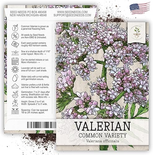 Miniatura 6 de Seed Needs Semillas de valeriana para plantar plantas de raíz apestosas, semillas de hierbas medicinales perennes sin OMG y sin tratar para plantar